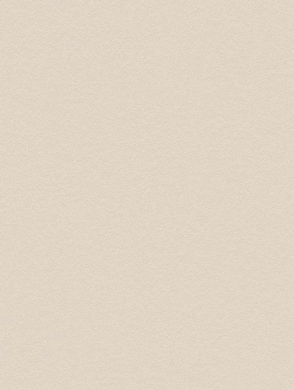 Film COVER STYL "béton" NH49 Snowflake Stucco - 122 x 100 cm 